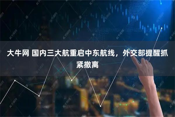 大牛网 国内三大航重启中东航线，外交部提醒抓紧撤离