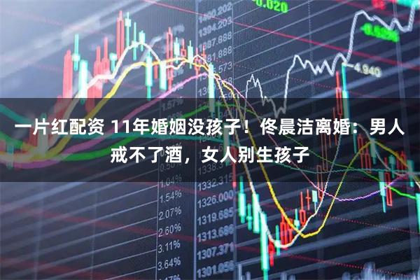 一片红配资 11年婚姻没孩子！佟晨洁离婚：男人戒不了酒，女人别生孩子