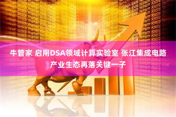 牛管家 启用DSA领域计算实验室 张江集成电路产业生态再落关键一子