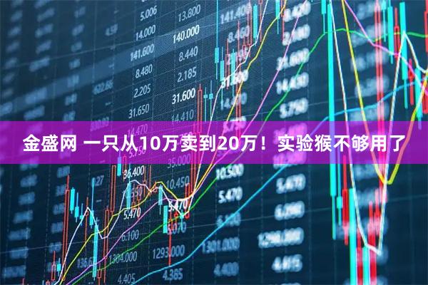 金盛网 一只从10万卖到20万!实验猴不够用了